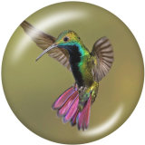 20MM  Hummingbird    Print   glass  snaps buttons
