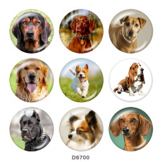 20MM  Dog   Print   glass  snaps buttons