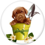 20MM   Dog   Print   glass  snaps buttons