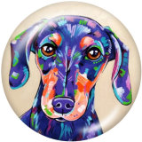 20MM  Flower   Dog   Print   glass  snaps buttons