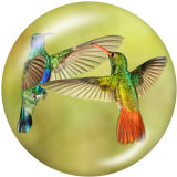 20MM  Hummingbird    Print   glass  snaps buttons
