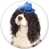 20MM  Dog   Print   glass  snaps buttons
