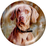 20MM  Dog   Print   glass  snaps buttons