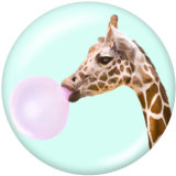 20MM   Dog  Print   glass  snaps buttons