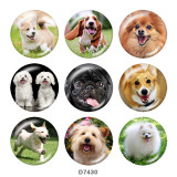 20MM   Dog  Print   glass  snaps buttons