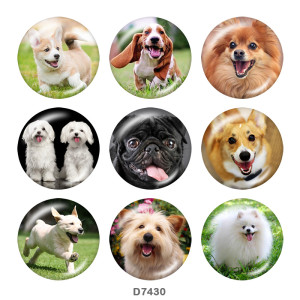 20MM   Dog  Print   glass  snaps buttons