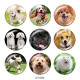 20MM   Dog  Print   glass  snaps buttons