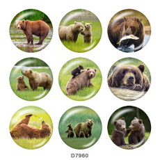 20MM   The bear   Print   glass  snaps buttons