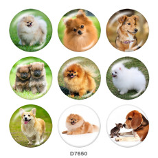 20MM   Dog  Print   glass  snaps buttons