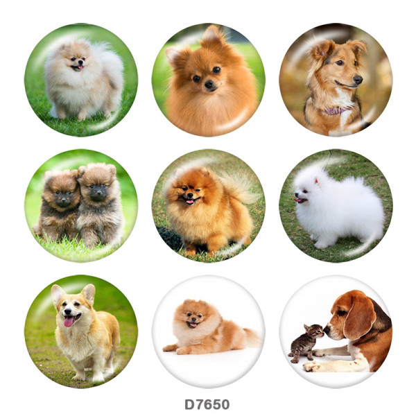20MM   Dog  Print   glass  snaps buttons