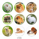20MM   Dog  Print   glass  snaps buttons