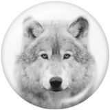 20MM   Fox  Tiger   Print   glass  snaps buttons