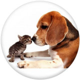 20MM   Dog  Print   glass  snaps buttons