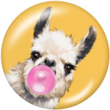 20MM   Dog  Print   glass  snaps buttons