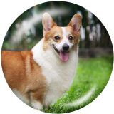 20MM   Dog  Print   glass  snaps buttons