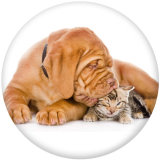 20MM   Dog  Print   glass  snaps buttons
