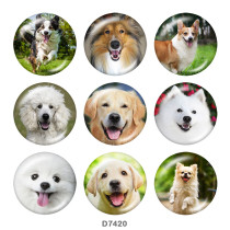 20MM   Dog  Print   glass  snaps buttons