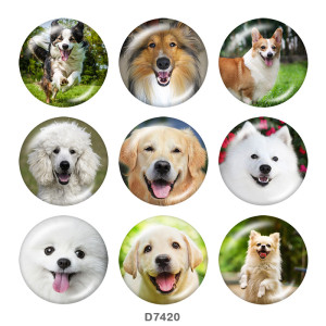 20MM   Dog  Print   glass  snaps buttons