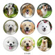 20MM   Dog  Print   glass  snaps buttons
