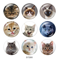 20MM   Cat   Print   glass  snaps buttons