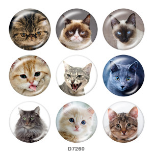 20MM   Cat   Print   glass  snaps buttons