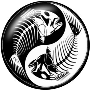 20MM Tai Chi  Print   glass  snaps buttons