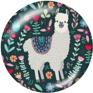 20MM   Alpaca   Print   glass  snaps buttons