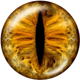 20MM   pattern  eye  Print   glass  snaps buttons
