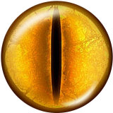 20MM   Pattern  eye  Print   glass  snaps buttons