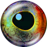 20MM   pattern  eye  Print   glass  snaps buttons