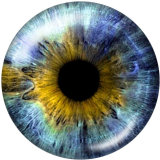 20MM   pattern  eye  Print   glass  snaps buttons