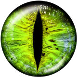 20MM   pattern  eye  Print   glass  snaps buttons