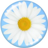 20MM   Pattern  Print   glass  snaps buttons