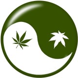 20MM Tai Chi  Print   glass  snaps buttons