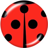20MM   Pattern  Print   glass  snaps buttons