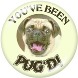 20MM   Cat  Dog   dolphin   Print   glass  snaps buttons