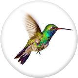 20MM   bird   Print   glass  snaps buttons