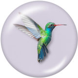 20MM   bird   Print   glass  snaps buttons