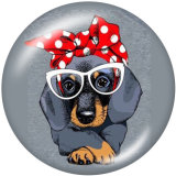 20MM   Dog words   Print   glass  snaps buttons