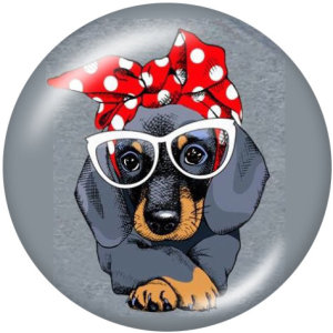 20MM   Dog words   Print   glass  snaps buttons