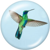 20MM   bird   Print   glass  snaps buttons
