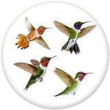 20MM   bird   Print   glass  snaps buttons