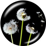 20MM  Dandelion   Print   glass  snaps buttons