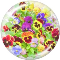 20MM  Flower  Print   glass  snaps buttons