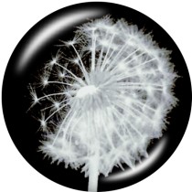 20MM  Dandelion   Print   glass  snaps buttons
