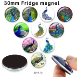 10pcs/lot  peacock  glass picture printing products of various sizes  Fridge magnet cabochon