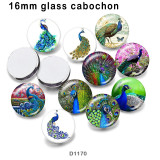 10pcs/lot  peacock  glass picture printing products of various sizes  Fridge magnet cabochon