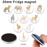 10pcs/lot   Elephant  Deer  Owl   glass picture printing products of various sizes  Fridge magnet cabochon