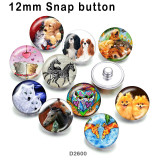 10pcs/lot  Cat  Dog  glass picture printing products of various sizes  Fridge magnet cabochon