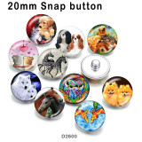 10pcs/lot  Cat  Dog  glass picture printing products of various sizes  Fridge magnet cabochon